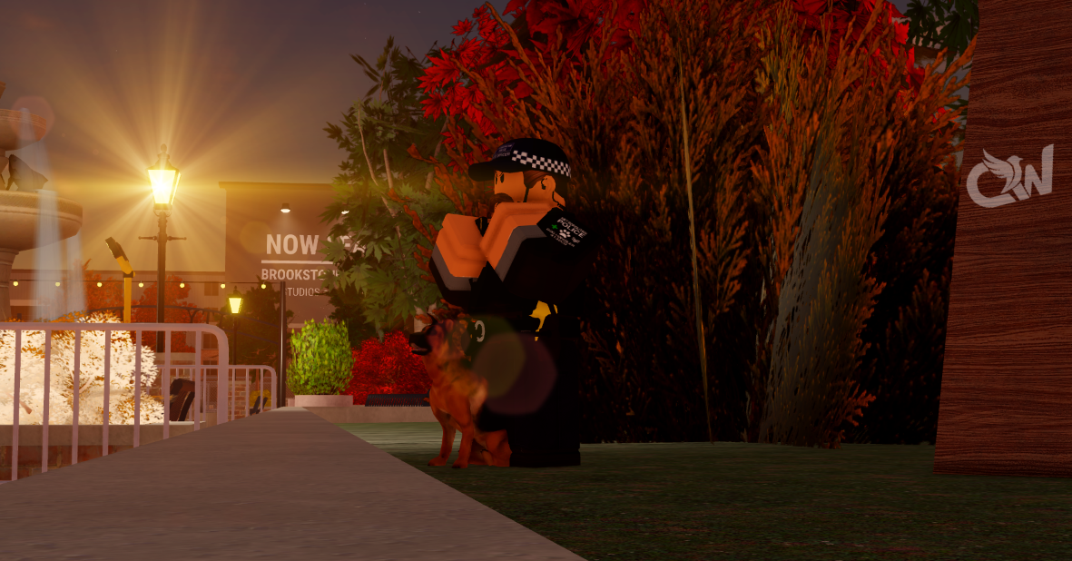 Fire and rescue scene